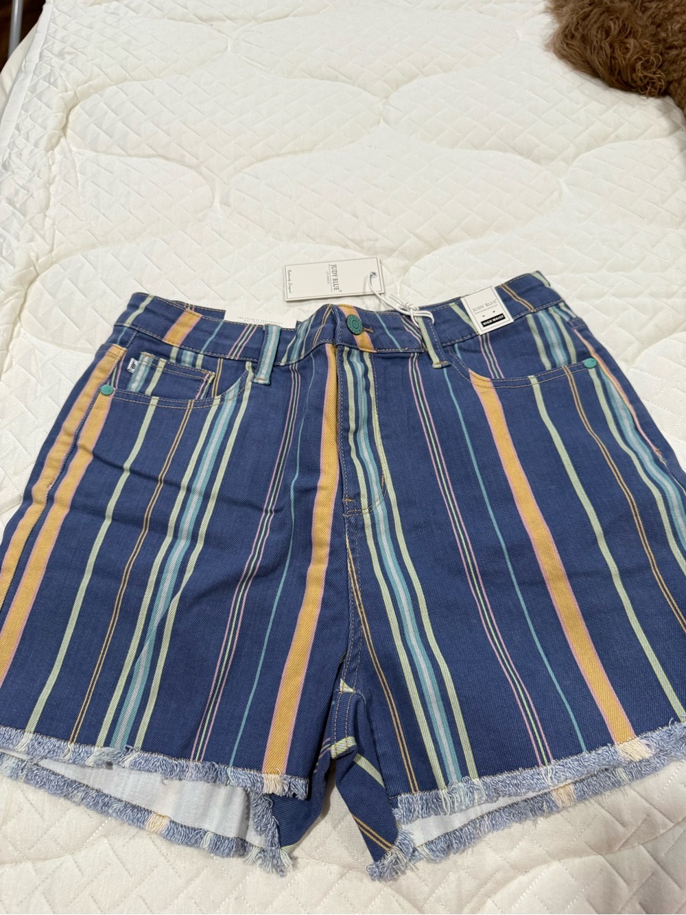 Zenana Outfitters Navy Multicolor Striped Jean Shorts